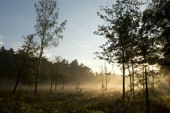 Maldegemveld