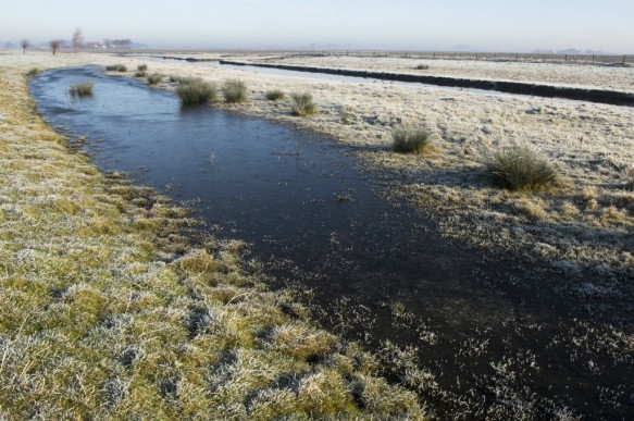 Oudemanskreek