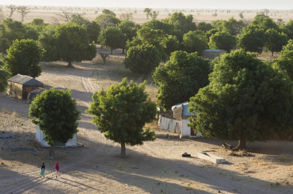 Diabel in Senegal