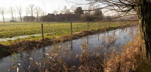 Vossenholse Meersen