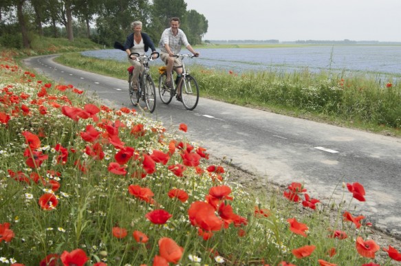 Fietsers