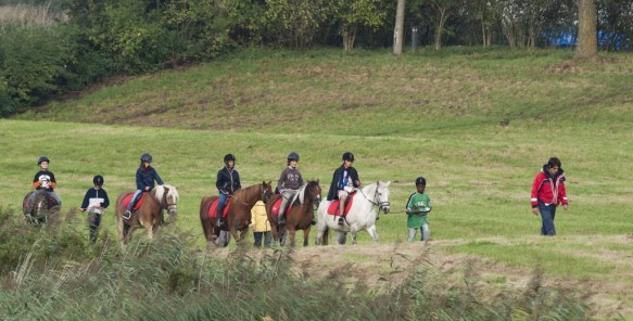 Ponyrijden