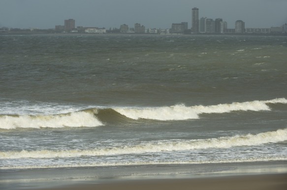 Westerschelde