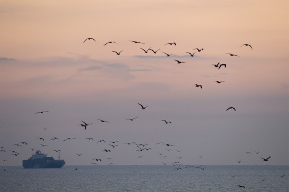 Westerschelde