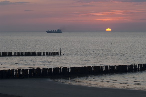 Westerschelde