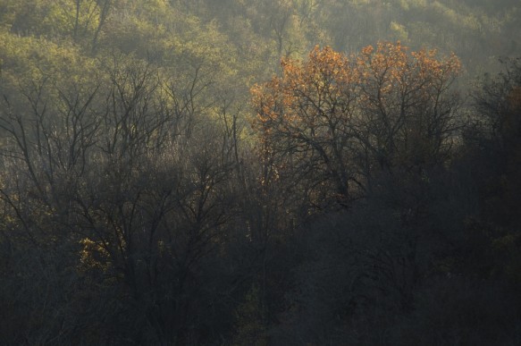 Herfst