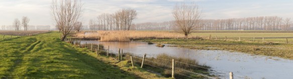 Vrouwkeshoekkreek