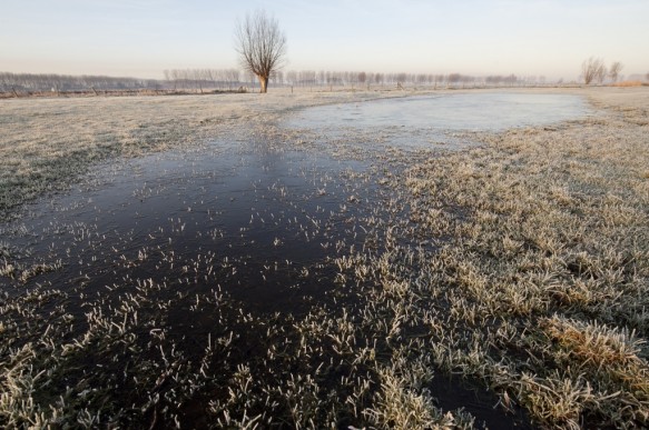 Vrouwkeshoekkreek