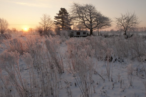 tuin in de winter.