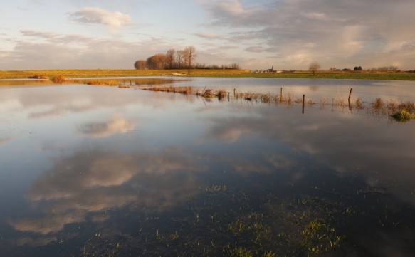 Ondergelopen poldergrasland in de herfst.