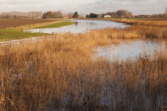 Brandkreek