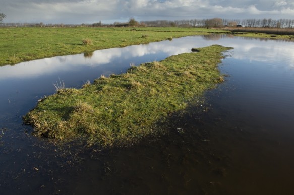 Historisch grasland.