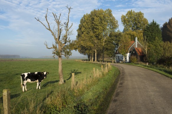 Brandkreekpolder.