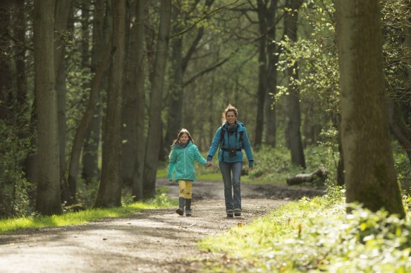 Wandelen in het bos.