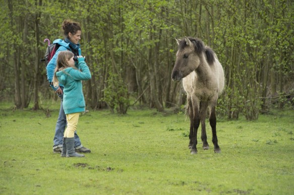 Wandelen in het bos.