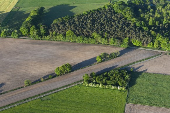 Gravejansdijk