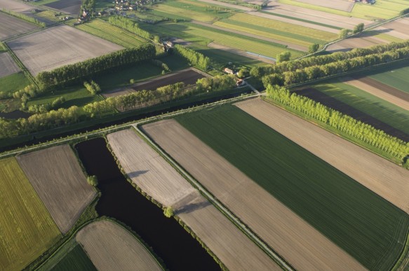 Leopoldkanaal