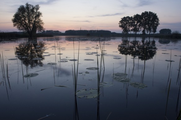 De Grote kreek.