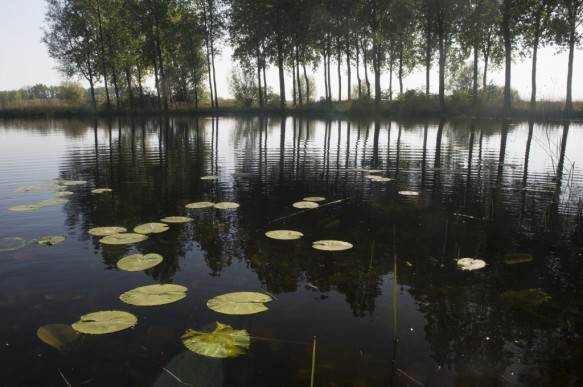 De Grote kreek.
