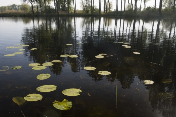 De Grote kreek.