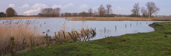 Beveren