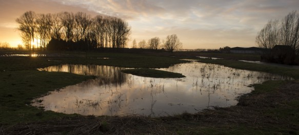 Beveren