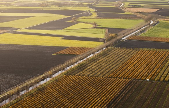Leopoldkanaal