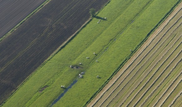 Agrarisch landschap