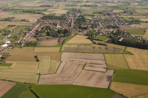 Bassevelde