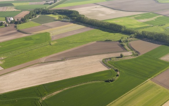 Kapellepolder met Doornendijk.