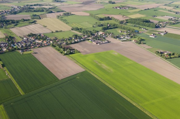 Graafjansdijk