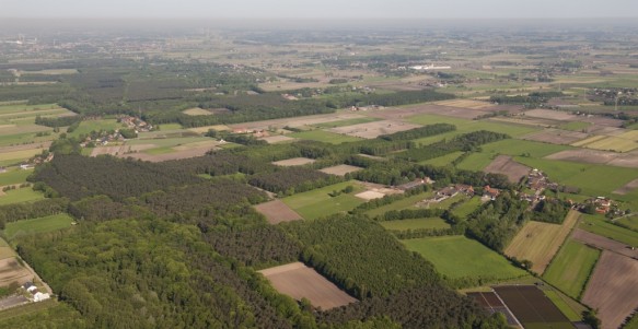 Bossen van Oosteeklo