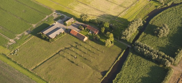De Vliet