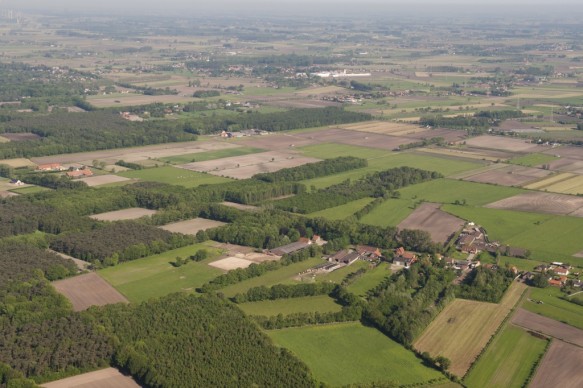 Bossen van Oosteeklo.