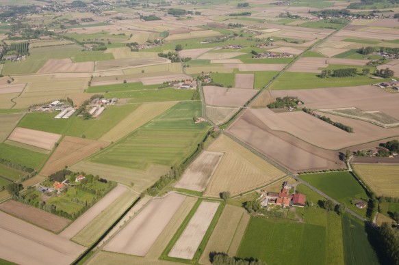 Fietspad te Assenede.
