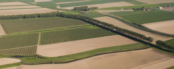 Noorddijk