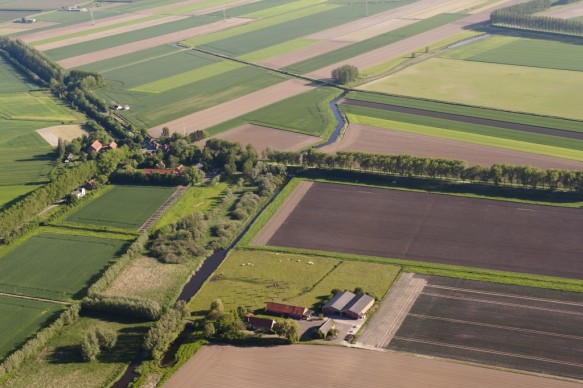 De Vliet