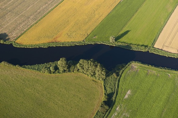 Grote geul