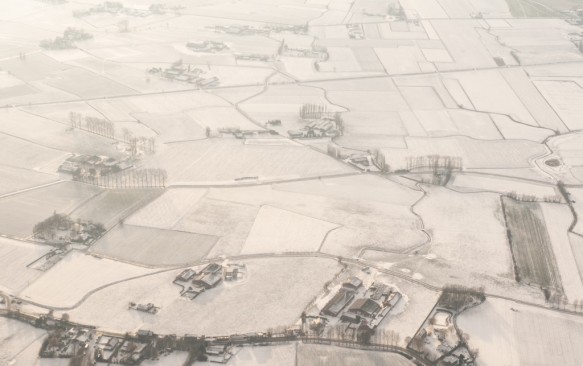 Besneeuwde polder