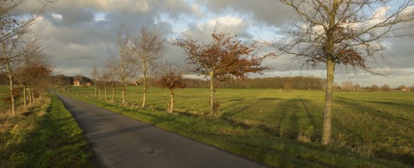 Agrarisch landschap.