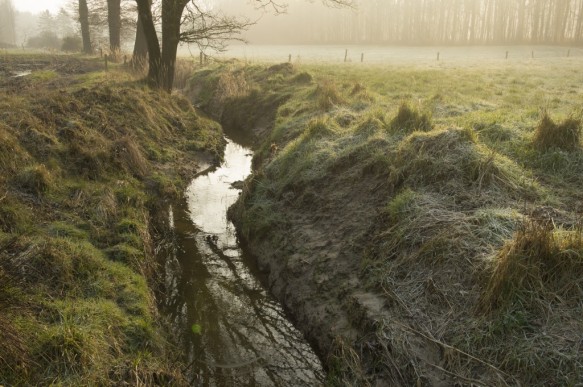 Driesbeek