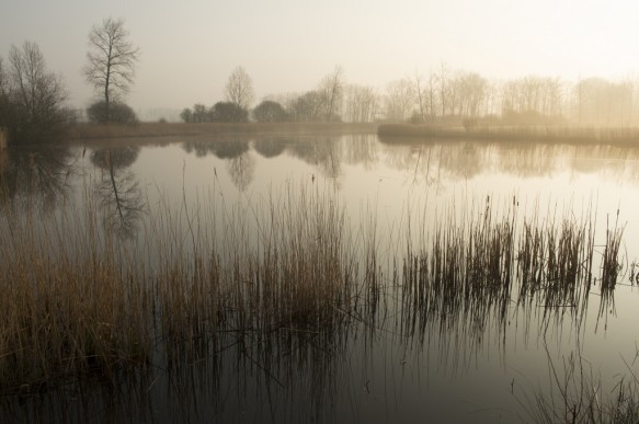 Vrouwkeshoekkreek