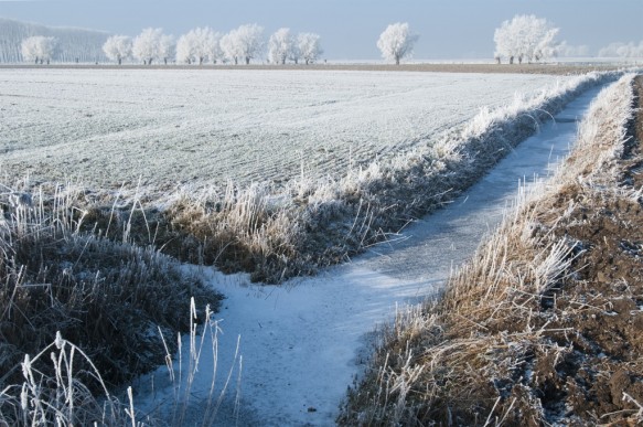Meetjeslandse polder in de winter.