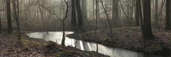 Bellebargiebos