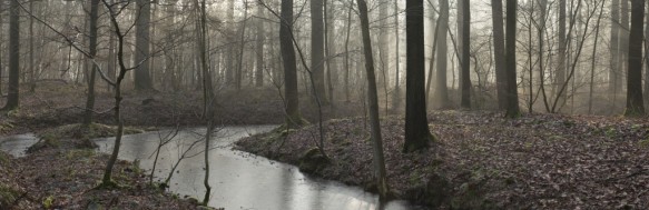 Bellebargiebos