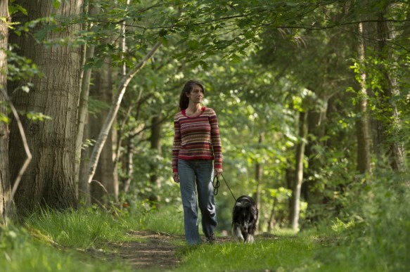 Wandelen met hond in het bos.