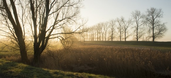 Oude zeedijk moude voormalige havengeul