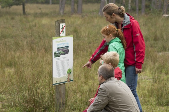 Wandelen in het bos.