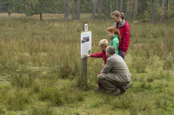 Wandelen in het bos.