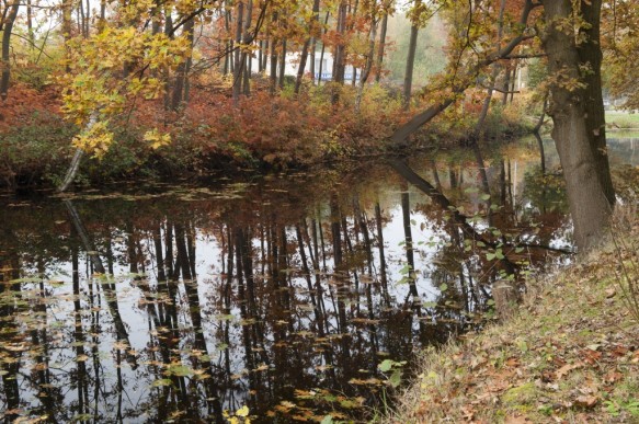 Stropersbos